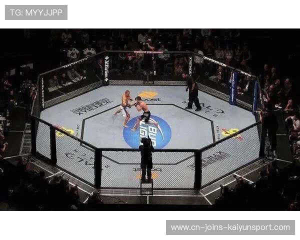 UFC对攻拳拳到肉:竞技与激情的极致碰撞