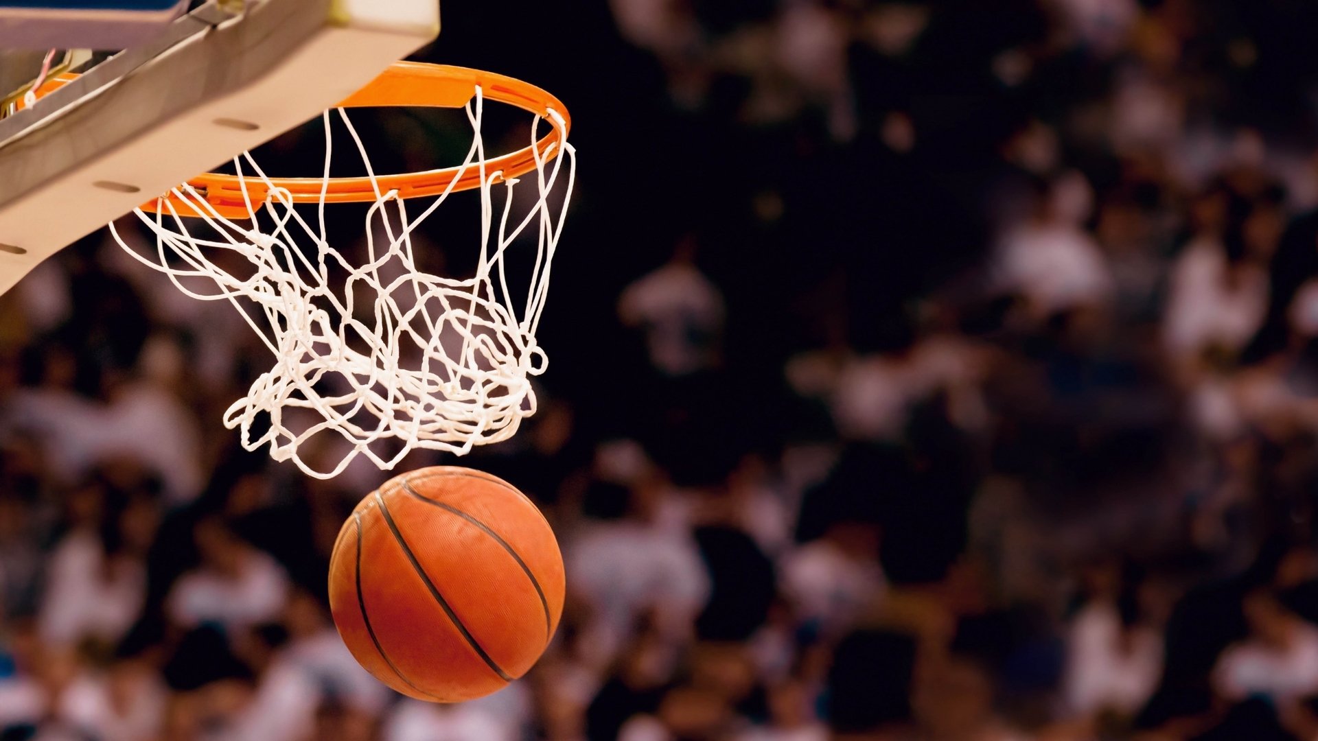 世界拳击职业联赛赛季后球员康复技术展示会举办,世界拳击运动员